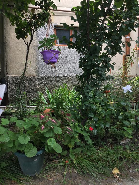 Guest House Gzirishvili 克瓦雷利 外观 照片