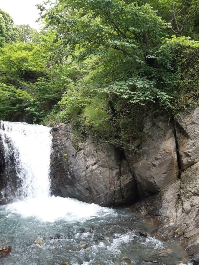 Guest House Gzirishvili 克瓦雷利 外观 照片